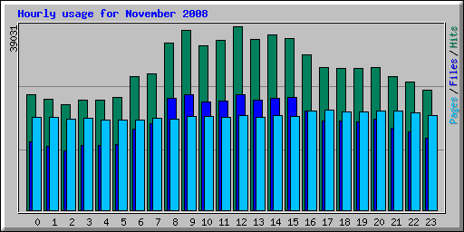 Hourly usage for November 2008