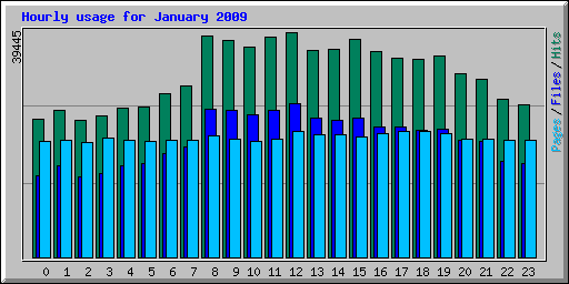 Hourly usage for January 2009